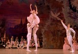 Сцена из фильма Пётр Чайковский - Щелкунчик / Tchaikovsky: The Nutcracker (2012) Пётр Чайковский - Щелкунчик сцена 9