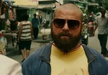 Сцена из фильма Мальчишник: Трилогия / The Hangover: Trilogy (2009) Мальчишник: Трилогия сцена 9