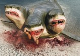 Фильм Нападение трёхголовой акулы / 3 Headed Shark Attack (2015) - cцена 2