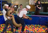 ТВ Чудаки 2 (Придурки) / Jackass: Number Two (2006) - cцена 2