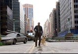 Фильм Я – легенда / I Am Legend (2008) - cцена 3