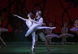 ТВ Людвиг Минкус - Дон Кихот / Ludwig Minkus: Don Quixote (2013) - cцена 1