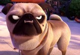 Мультфильм Реальная белка / The Nut Job (2014) - cцена 2