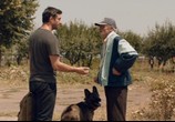 Фильм Собаки / Câini (2016) - cцена 3