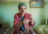 Фильм Найти... и полюбить / The Bra (2018) - cцена 4