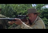 Фильм Рожденная свободной / Born Free (1966) - cцена 3