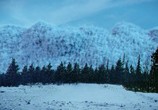 Фильм Ледяная зона / Cold Zone (2017) - cцена 2