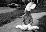 ТВ Дом Странных Детей Мисс Перегрин: Дополнительные материалы / Miss Peregrine's Home for Peculiar Children: Bonuces (2016) - cцена 3