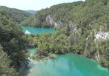 ТВ Жизнь: Вода – основа жизни / Life 3D: Water, the Element of Life (2013) - cцена 1