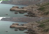 ТВ Мальорка / Mallorca (2012) - cцена 2