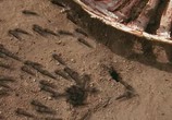 Сериал Дрожь / Tremors (2003) - cцена 3