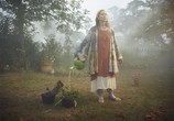 Сериал Мгла / The Mist (2017) - cцена 2