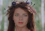 Фильм Старое предание. Когда солнце было богом / Stara basn. Kiedy slonce bylo bogiem (2003) - cцена 4