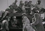 Сцена из фильма Хамфри Богарт - Коллекция Film Prestige  / Humphrey Bogart Collection (1936) 