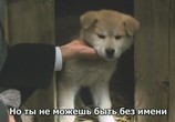Фильм История Хатико / Hachiko monogatari (1987) - cцена 3