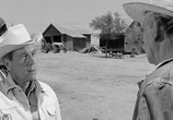 Фильм Хад / Hud (1963) - cцена 4