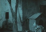 Сцена из фильма Пиноккио / Pinocchio (1911) Пиноккио сцена 2