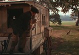 Фильм Лэсси возвращается домой / Lassie Come Home (1943) - cцена 2