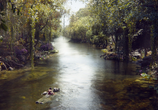 Фильм Книга джунглей / The Jungle Book (2016) - cцена 3