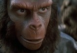 Фильм Планета обезьян 5: Битва за планету обезьян / Battle for the Planet of the Apes (1973) - cцена 2