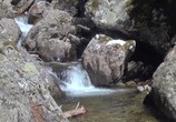 ТВ Изучая природу 3D / Experience Nature 3D (2013) - cцена 3