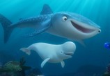 Мультфильм В поисках Дори / Finding Dory (2016) - cцена 7