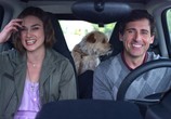 Фильм Ищу друга на конец света  / Seeking a Friend for the End of the World (2012) - cцена 5