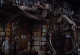 ТВ Лондонский Музей естествознания вживую с Дэвидом Аттенборо / David Attenborough's Natural History Museum Alive (2014) - cцена 2