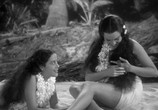Фильм Мятеж на Баунти / Mutiny on the Bounty (1935) - cцена 6