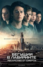 Бегущий в лабиринте: Лекарство от смерти / The Maze Runner: The Death Cure (2018)