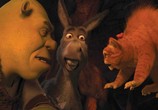 Мультфильм Шрэк навсегда / Shrek Forever After (2010) - cцена 2
