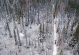Сцена из фильма Глобальное потепление: факты / Climate Change: The Facts (2019) Глобальное потепление: факты сцена 16