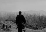 Фильм Телохранитель / Yojimbo (1961) - cцена 1