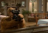 Сериал Альф / ALF (1986) - cцена 2