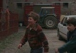 Фильм Бычара / Rundskop (2011) - cцена 3