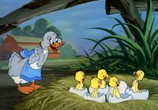Мультфильм Том и Джерри: Самые веселые / Tom and Jerry (1940) - cцена 2