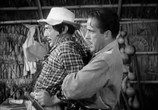 Фильм Остров ярости / Isle of Fury (1936) - cцена 3