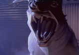 Фильм Охотники за привидениями / Ghostbusters (1984) - cцена 3