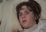 Фильм Рой / The Swarm (1978) - cцена 2
