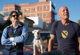 Фильм Его собачье дело / Once Upon a Time in Venice (2017) - cцена 1