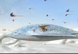 Мультфильм Битва за планету Терра / Battle for Terra (2009) - cцена 3