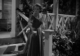 Фильм Письмо / The Letter (1940) - cцена 3