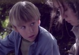 Фильм Коряжка в беде / Knerten i knipe (2011) - cцена 1
