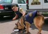 Сериал Рино 911 / Reno 911! (2003) - cцена 1