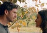 Сцена из фильма Собаки / Câini (2016) Собаки сцена 13