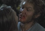 Фильм Волк / Wolf (1994) - cцена 3