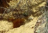 ТВ Возрождение прииска / Lost Mines: Restored (2020) - cцена 1