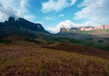 Сцена из фильма Южная Америка / South America (2018) Южная Америка сцена 12