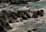ТВ Изучая природу 3D / Experience Nature 3D (2013) - cцена 1
