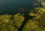 ТВ BBC. Земля: Взгляд из космоса / Earth from space (2019) - cцена 3